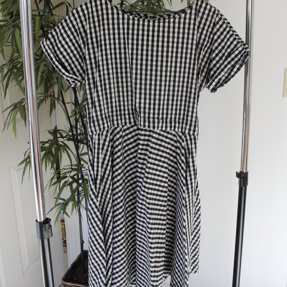 Hailey & Co. Small Gingham Black & White Tea Dress